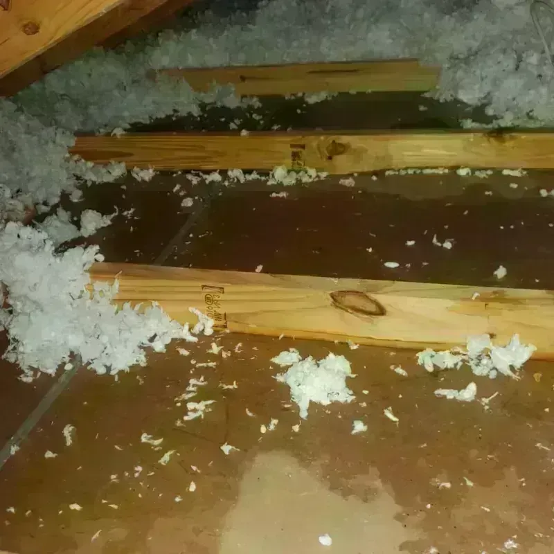 Attic Water Damage in Pomeroy, WA