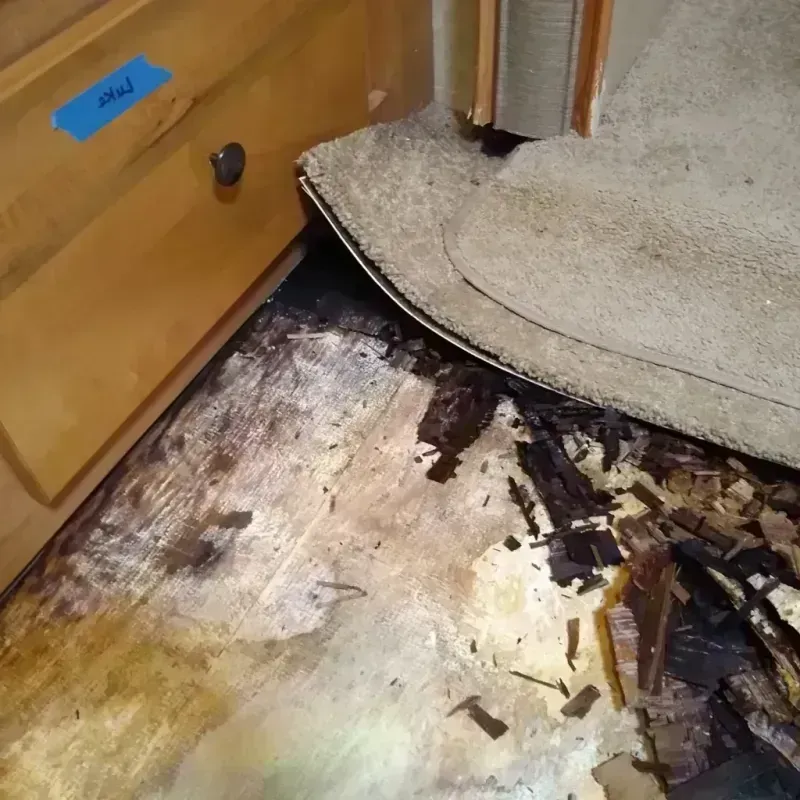 Wood Floor Water Damage in Pomeroy, WA